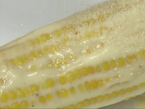 MEXICAN CORN ON THE COB–ELOTE